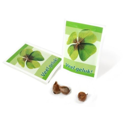 Zakje met klavertje 4 kweekset - Topgiving